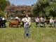 thumbnail 393 --9208.jpg